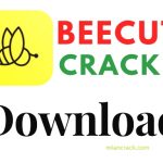 BeeCut Crack