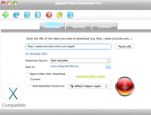 bigasoft video downloader pro amazon