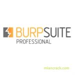 Burp Suite Pro Crack