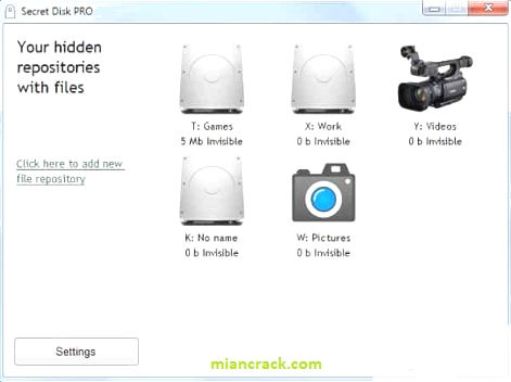Secret Disk Pro Crack