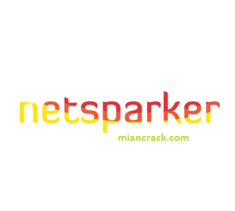 Netsparker Professional 5.8.1.28119 Crack With License Key Free Download 2022