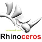 Rhino Crack