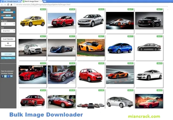 Bulk Image Downloader Crack