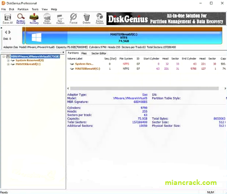 DiskGenius Professional Crack
