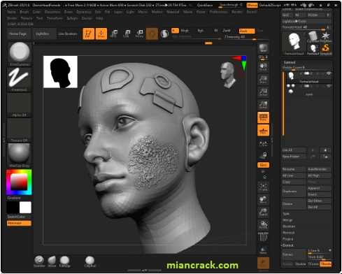 ZBrush Crack