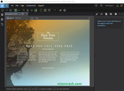 Pinegrow Web Editor Crack