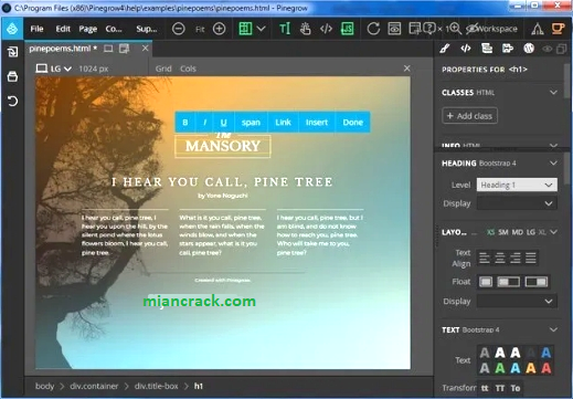 Pinegrow Web Editor Crack