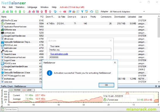 NetBalancer Crack