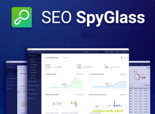 SEO SpyGlass Crack