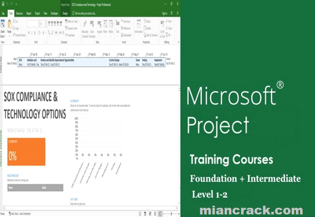 Microsoft Project Crack