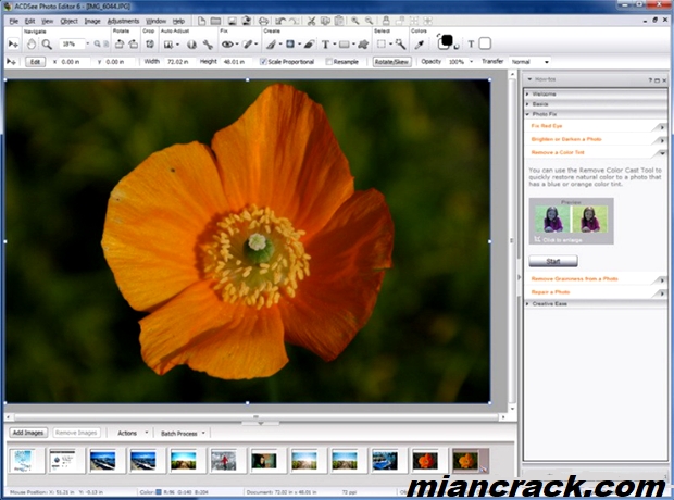 ACDSee Photo Editor Crack