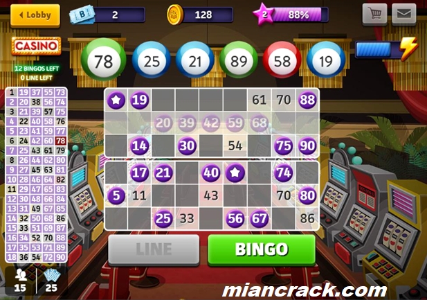 Bingo Numbers Crack