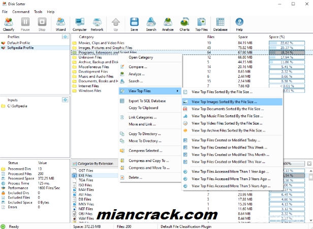 Disk Sorter Enterprise Crack