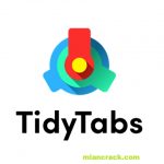 TidyTabs Professional Crack