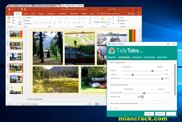TidyTabs Professional Crack